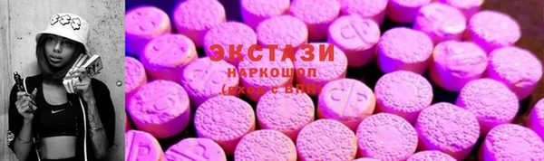 ECSTASY Богородицк