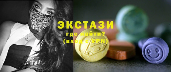 ECSTASY Богородицк