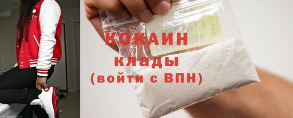 ECSTASY Богородицк
