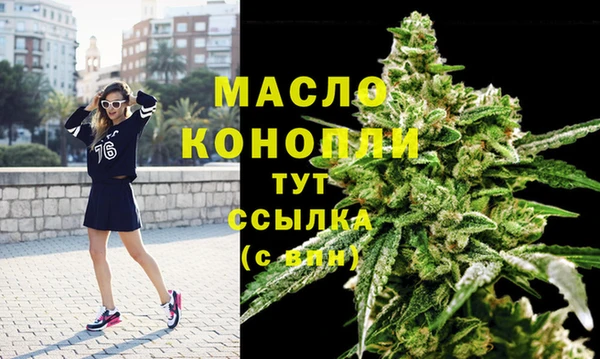 ECSTASY Богородицк