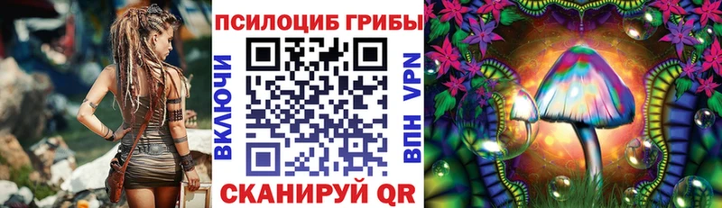 цены наркотик  Тверь  Галлюциногенные грибы GOLDEN TEACHER 